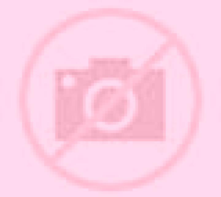 Abril 3 Arauco escort
