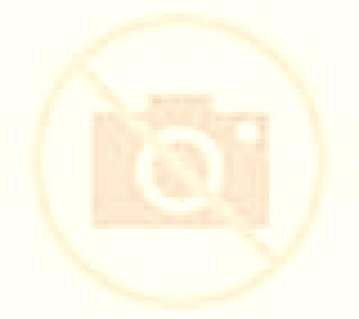 Amanda 3 Lota escort