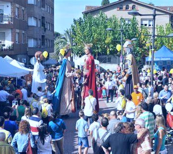 Ariadna Nueva Tolten escort