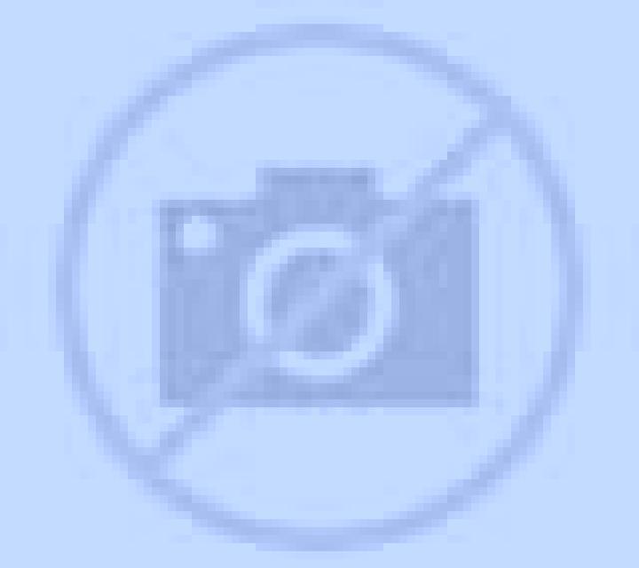 Brisa 2 Donihue escort