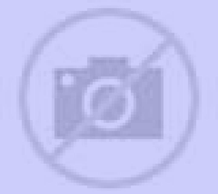 Camila 3 El Carmen escort