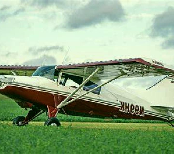 Colomba 3 Maule escort