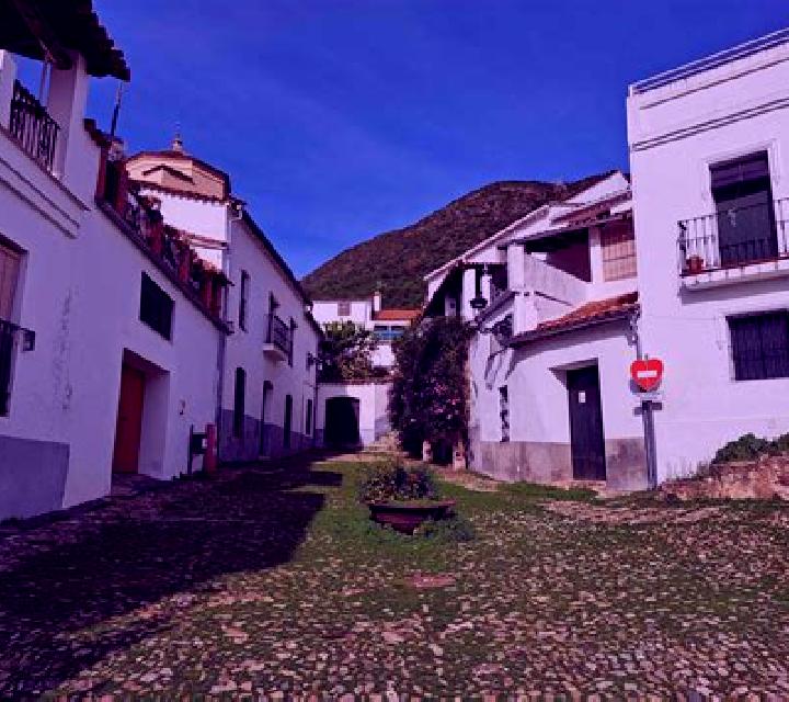 Colomba Vilcun escort