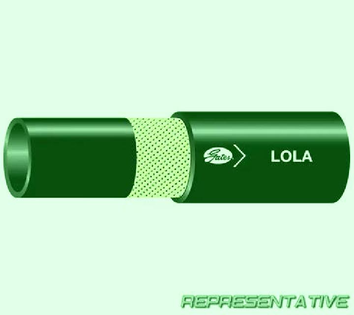 Lola 3 Retiro escort