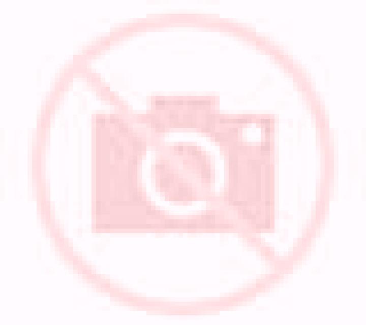 Paulina Alto del Carmen escort
