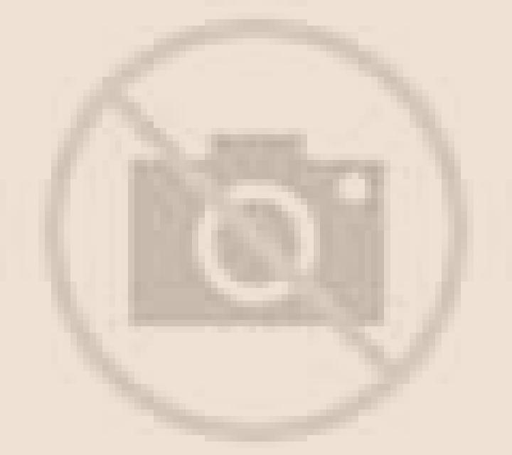 Rayén 3 Chiguayante escort