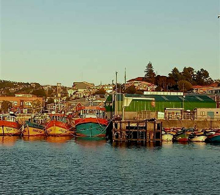 Zara 2 Ancud escort